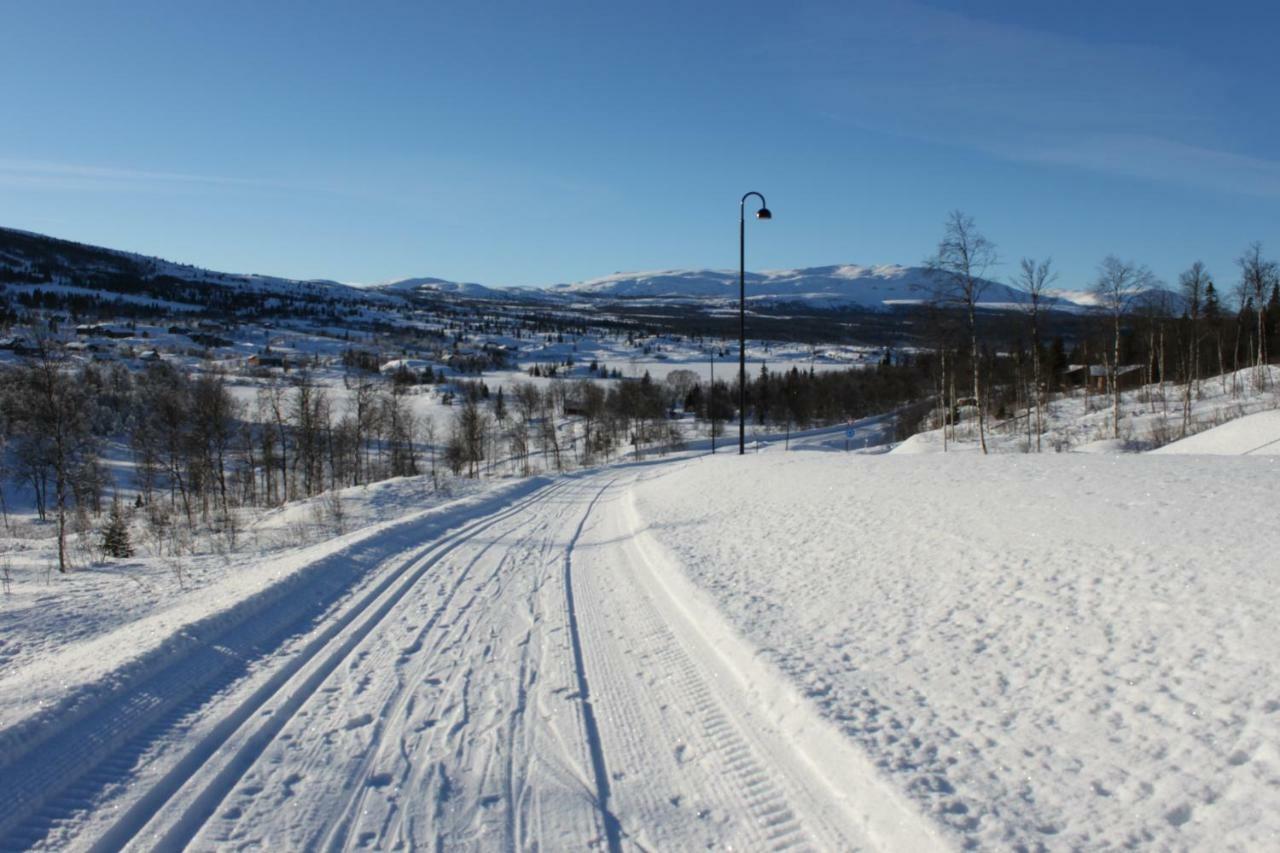 Apartamento Bergfosshytta Ron Exterior foto